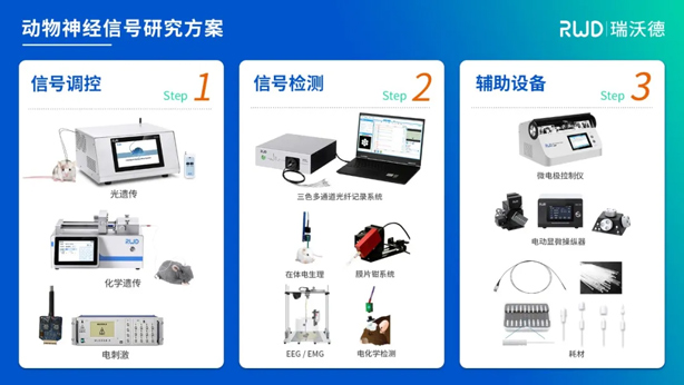 4-动物神经信号调控与检测.jpg