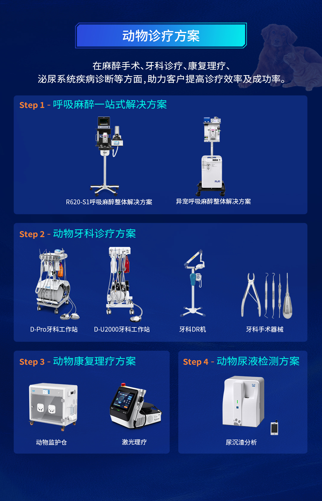 动物诊疗.jpg