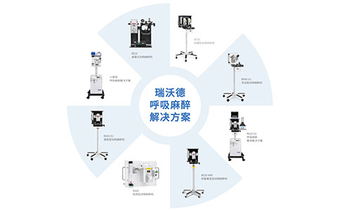 k8凯发与瑞派宠物医院以人才培养助力动物健康事业发展 