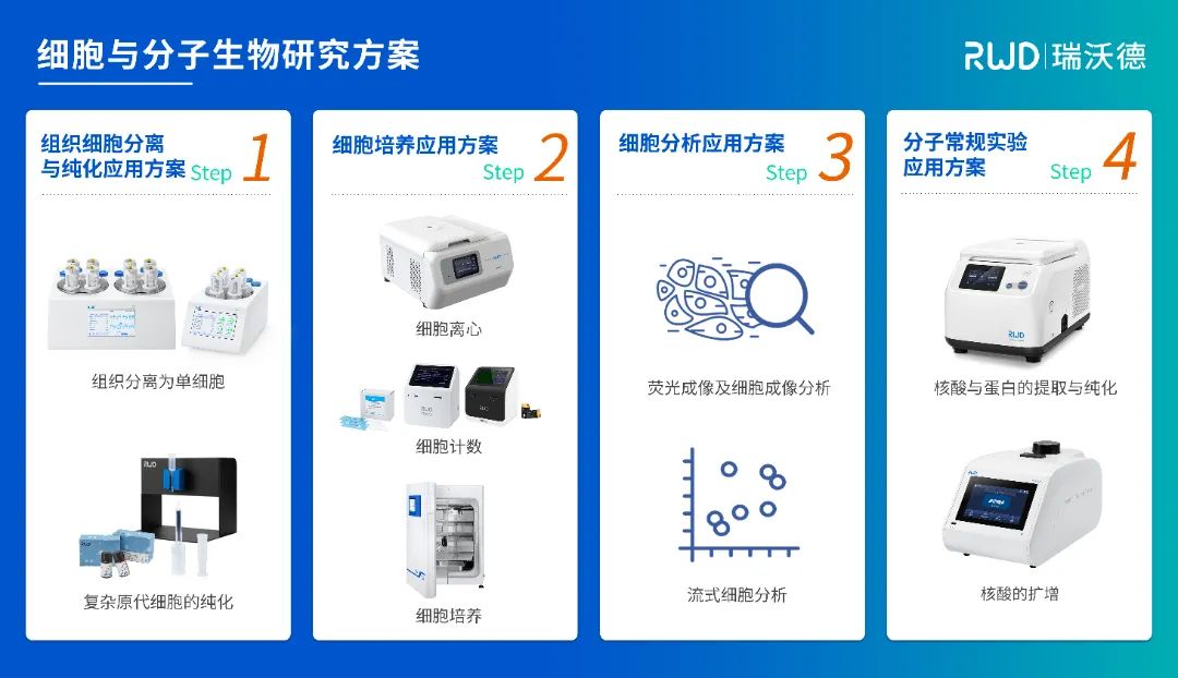 2-k8凯发细胞与分子生物研究方案.jpg