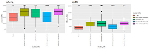 Reference：A Single Cell Transcriptomic Atlas Characterizes Aging Tissues in the Mouse