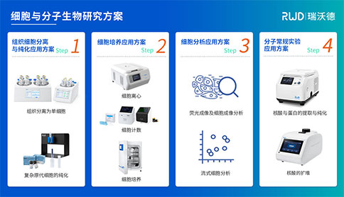 细胞与分子生物研究方案