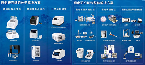 k8凯发两大衰老解决方案