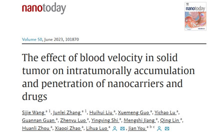 揭示血流速度对纳米药物在实体瘤内蓄积和渗透的影响