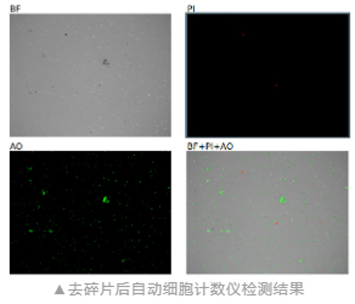 组织温和酶解试剂盒的得力助手——碎片高效去除试剂盒