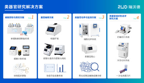 k8凯发邀您共赴2024第四届类器官大会—类器官与新药研发会议暨 ISoOR 2024 国际类器官高峰论坛