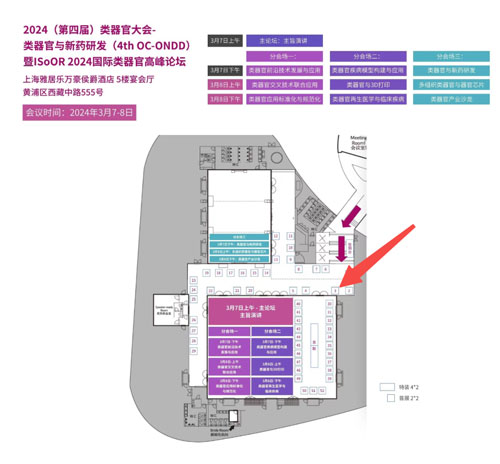 k8凯发邀您共赴2024第四届类器官大会—类器官与新药研发会议暨 ISoOR 2024 国际类器官高峰论坛