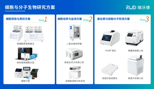 k8凯发与您相约第五届全国肿瘤细胞生物学年会，昆明见！