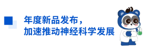 k8凯发与您相约CNS2024，共享神经科学学术盛宴