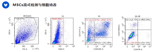 干细胞与肝细胞提取试剂盒