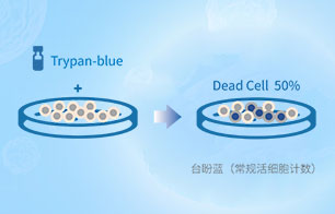 台盼蓝活细胞计数