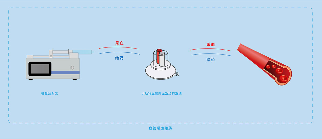 血管采血给药