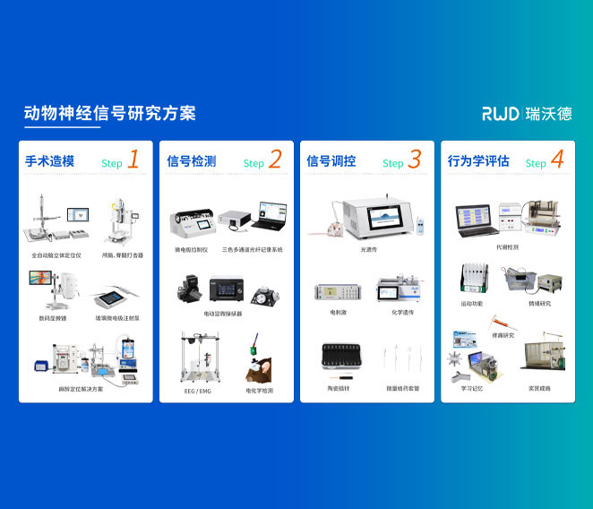 动物神经信号研究