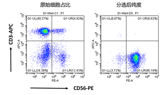 人NK细胞分选试剂盒（科研级）