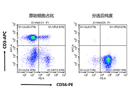 人NK细胞分选试剂盒（科研级）