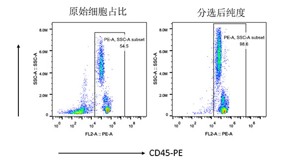 人CD45+细胞分选试剂盒（科研级）