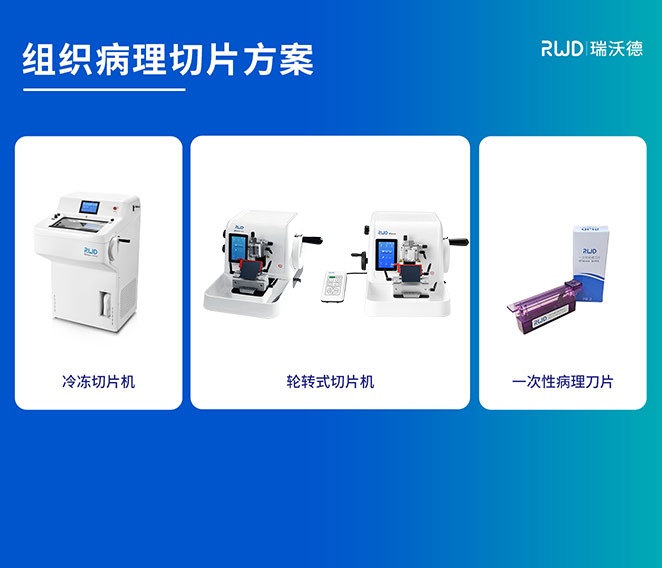 组织病理切片方案