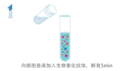 无柱式纳米磁珠细胞分选试剂