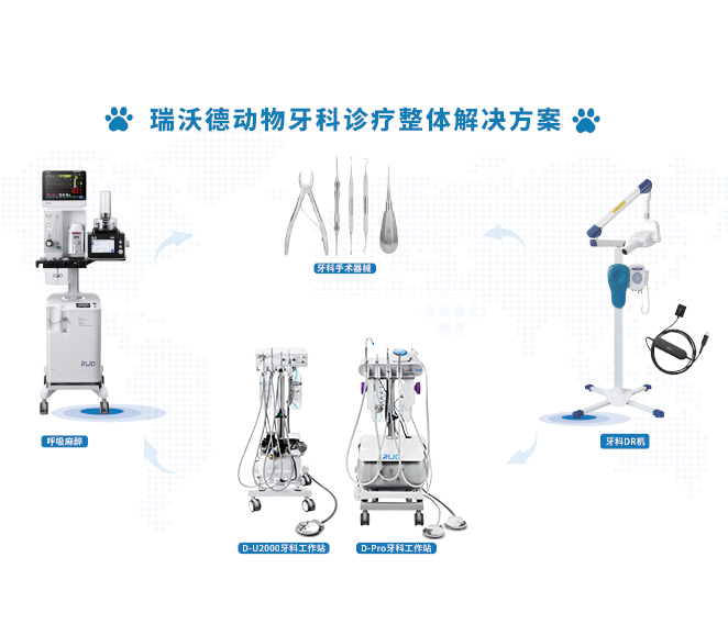 动物牙科诊疗整体解决方案